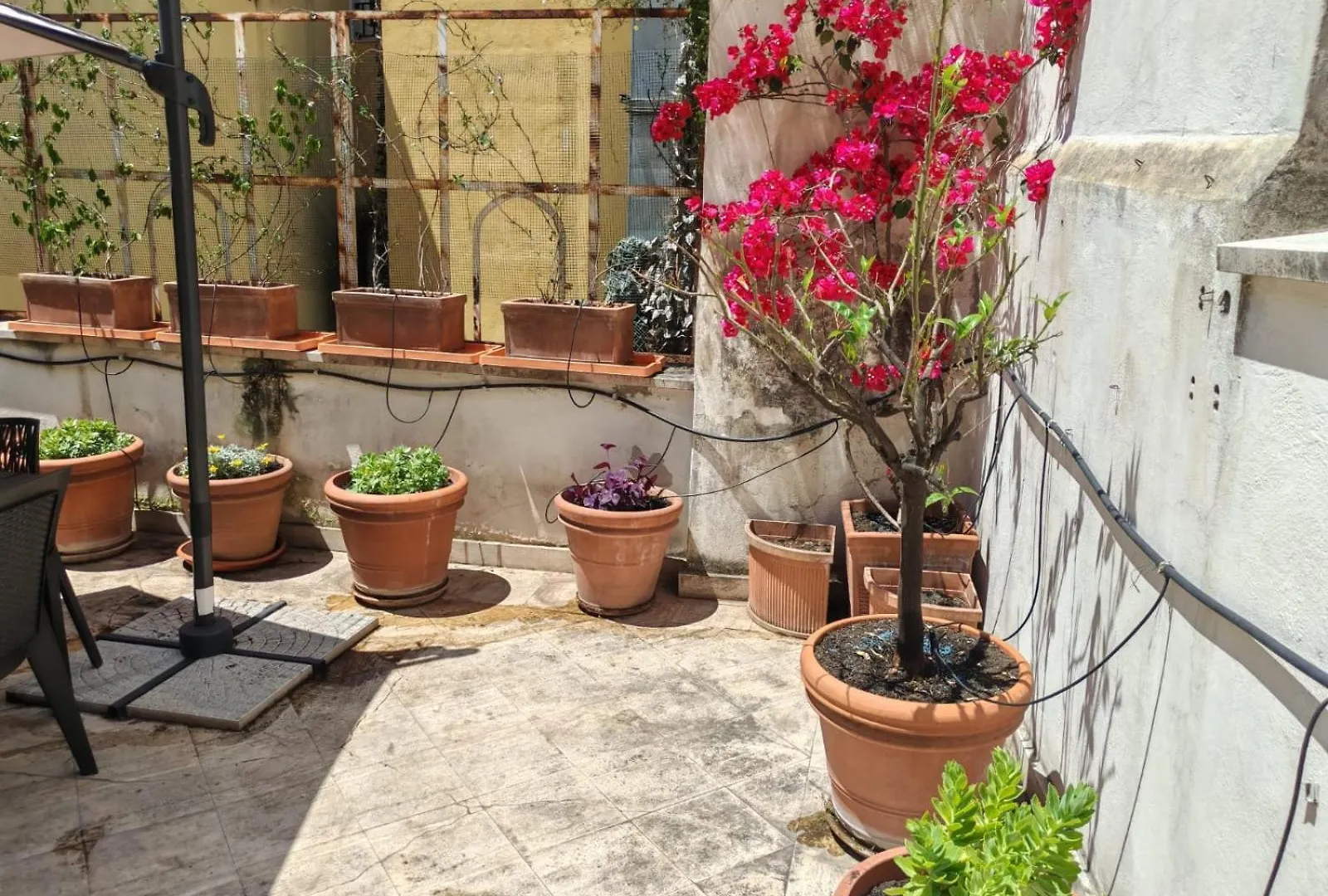 Apartmán Casa Storica 4Bdr Con Terrazza A Campo De Fiori Řím