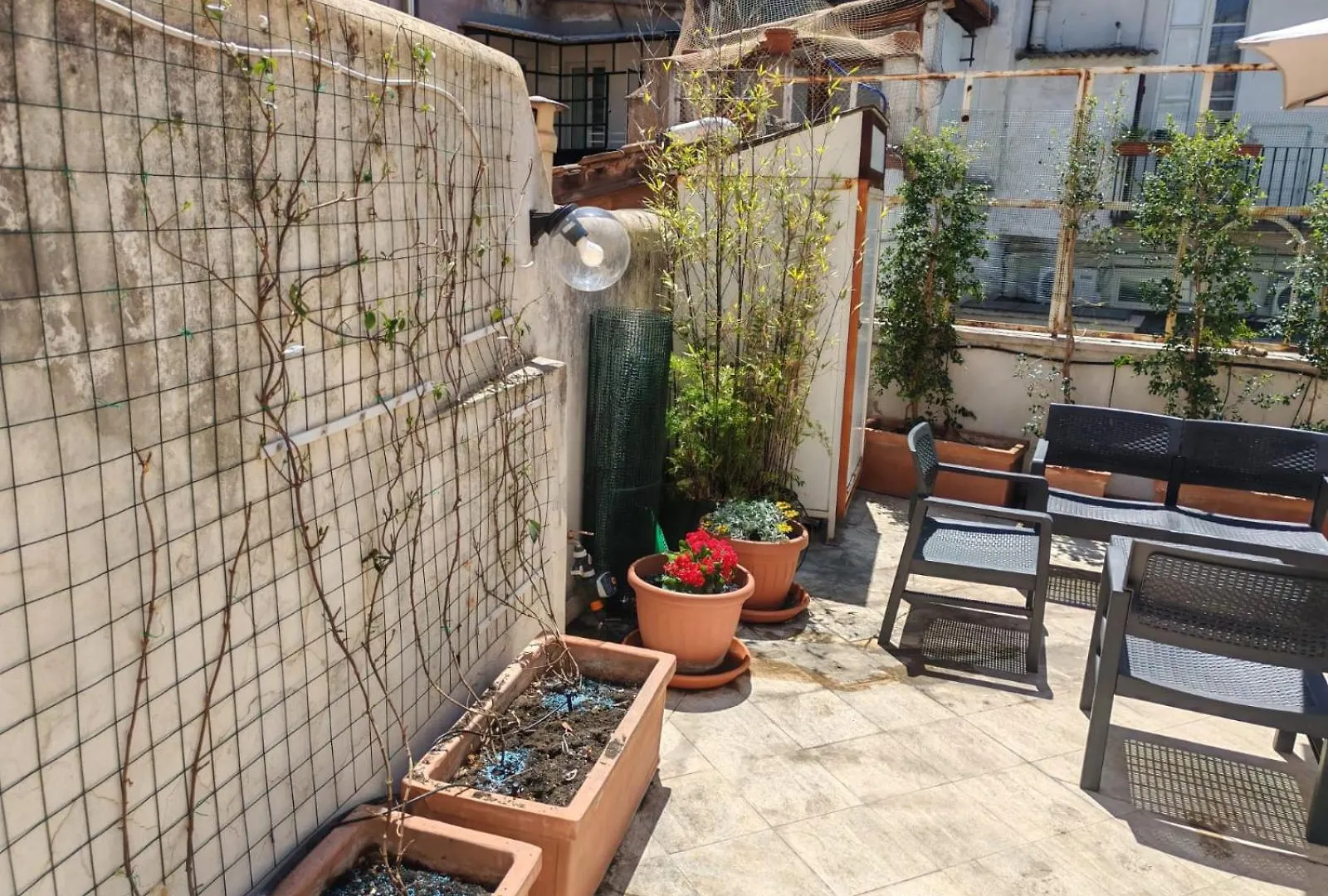 Apartmán Casa Storica 4Bdr Con Terrazza A Campo De Fiori Řím
